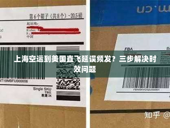 上海空运到美国直飞延误频发?三步解决时效问题 上海空运到美国直飞延误频发?三步解决时效问题