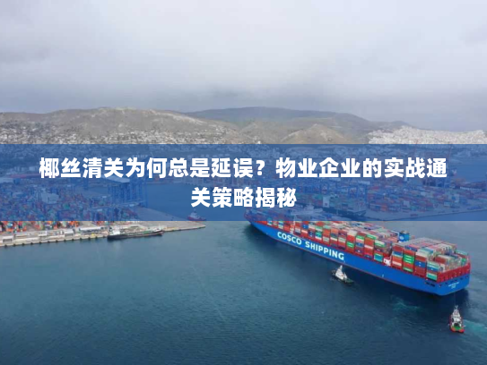 椰丝清关为何总是延误？物业企业的实战通关策略揭秘