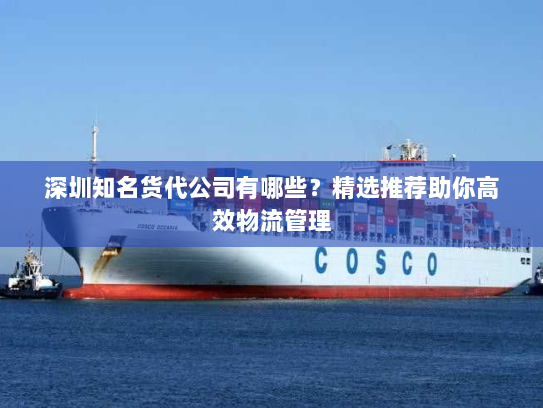 深圳知名货代公司有哪些？精选推荐助你高效物流管理