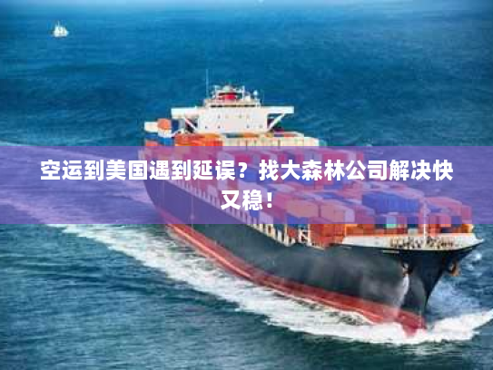 空运到美国遇到延误?找大森林公司解决快又稳! 空运到美国遇到延误?找大森林公司解决快又稳!