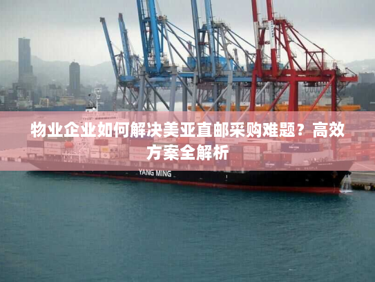 物业企业如何解决美亚直邮采购难题?高效方案全解析 物业企业如何解决美亚直邮采购难题?高效方案全解析