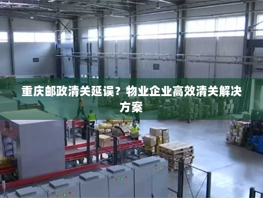 重庆邮政清关延误?物业企业高效清关解决方案 重庆邮政清关延误?物业企业高效清关解决方案