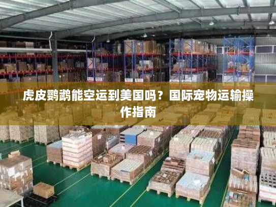 虎皮鹦鹉能空运到美国吗？国际宠物运输操作指南