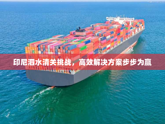 印尼泗水清关挑战，高效解决方案步步为赢