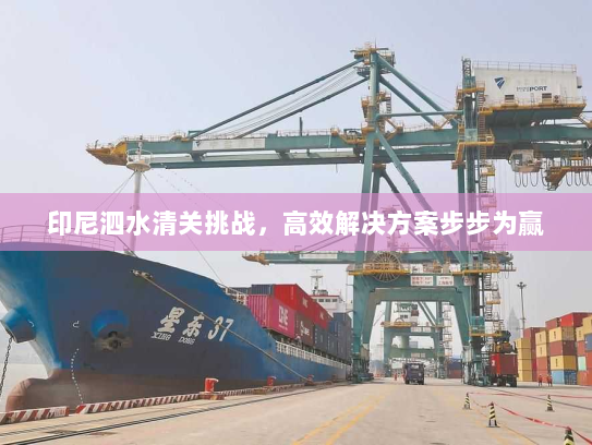 印尼泗水清关挑战，高效解决方案步步为赢