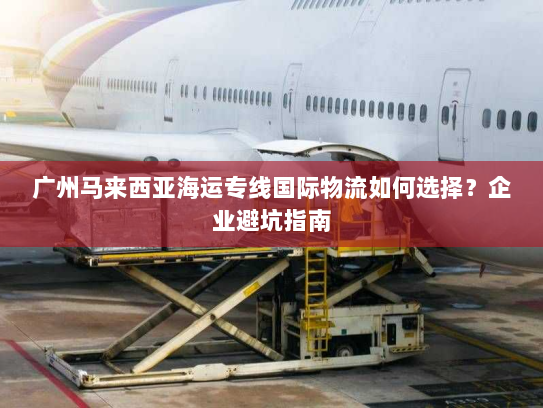 广州马来西亚海运专线国际物流如何选择？企业避坑指南