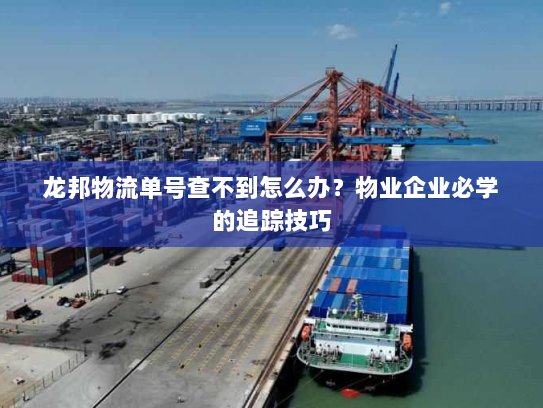 龙邦物流单号查不到怎么办？物业企业必学的追踪技巧