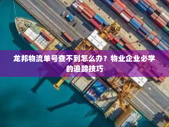 龙邦物流单号查不到怎么办？物业企业必学的追踪技巧