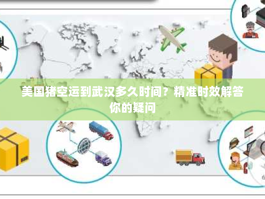 美国猪空运到武汉多久时间？精准时效解答你的疑问