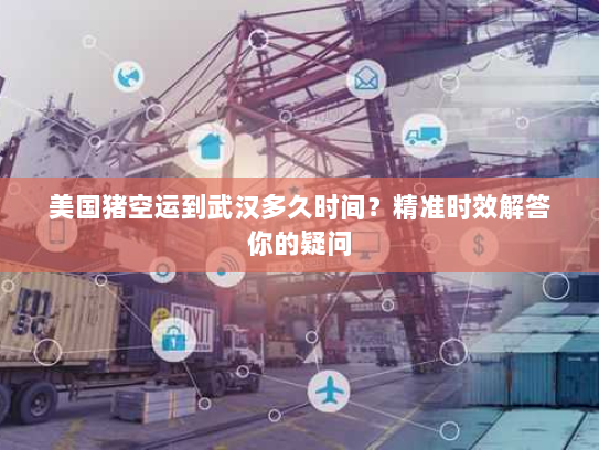 美国猪空运到武汉多久时间？精准时效解答你的疑问