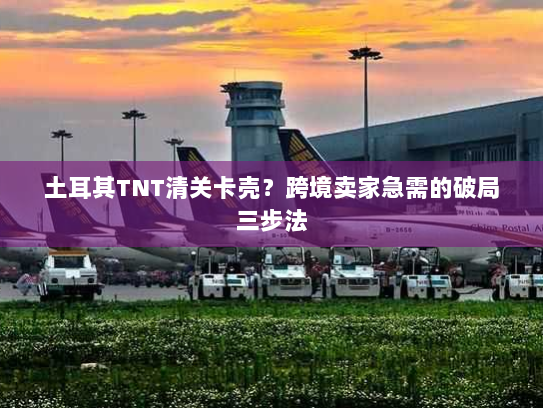 土耳其TNT清关卡壳?跨境卖家急需的破局三步法 土耳其TNT清关卡壳?跨境卖家急需的破局三步法