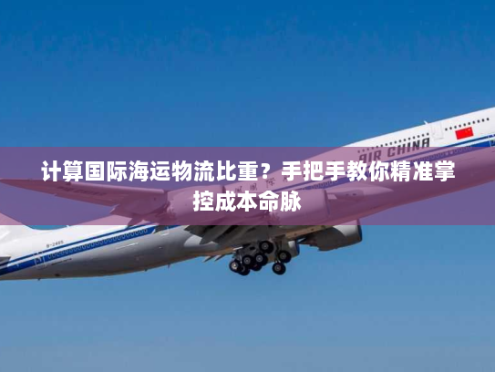 计算国际海运物流比重？手把手教你精准掌控成本命脉