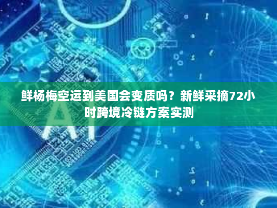 鲜杨梅空运到美国会变质吗?新鲜采摘72小时跨境冷链方案实测 鲜杨梅空运到美国会变质吗?新鲜采摘72小时跨境冷链方案实测