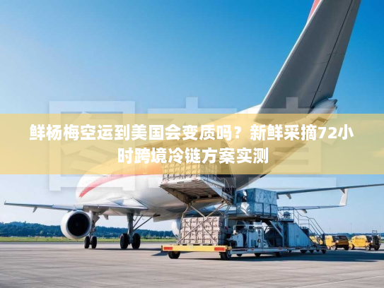 鲜杨梅空运到美国会变质吗?新鲜采摘72小时跨境冷链方案实测 鲜杨梅空运到美国会变质吗?新鲜采摘72小时跨境冷链方案实测