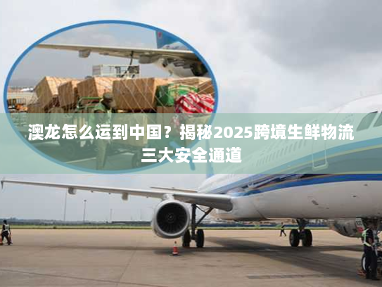 澳龙怎么运到中国?揭秘2025跨境生鲜物流三大安全通道 澳龙怎么运到中国?揭秘2025跨境生鲜物流三大安全通道