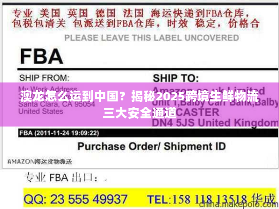 澳龙怎么运到中国?揭秘2025跨境生鲜物流三大安全通道 澳龙怎么运到中国?揭秘2025跨境生鲜物流三大安全通道