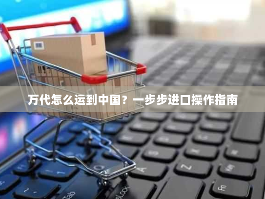 万代怎么运到中国？一步步进口操作指南