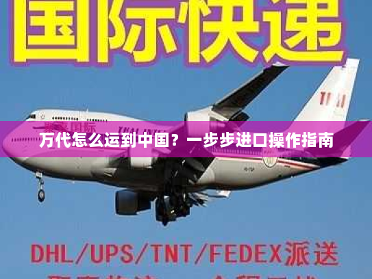 万代怎么运到中国？一步步进口操作指南