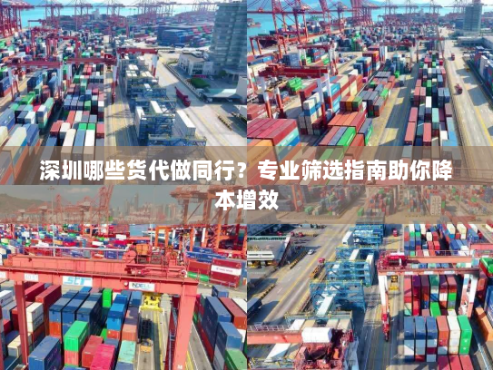 深圳哪些货代做同行?专业筛选指南助你降本增效 深圳哪些货代做同行?专业筛选指南助你降本增效