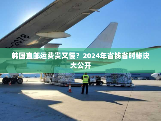 韩国直邮运费贵又慢?2024年省钱省时秘诀大公开 韩国直邮运费贵又慢?2024年省钱省时秘诀大公开