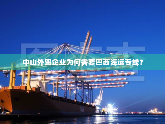 中山外贸企业为何需要巴西海运专线？