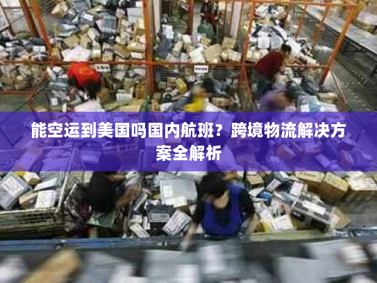 能空运到美国吗国内航班?跨境物流解决方案全解析 能空运到美国吗国内航班?跨境物流解决方案全解析