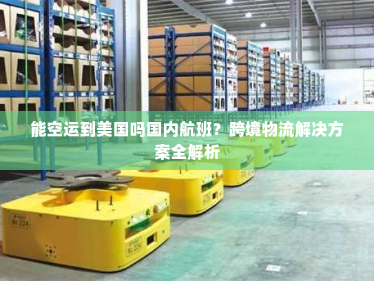 能空运到美国吗国内航班?跨境物流解决方案全解析 能空运到美国吗国内航班?跨境物流解决方案全解析