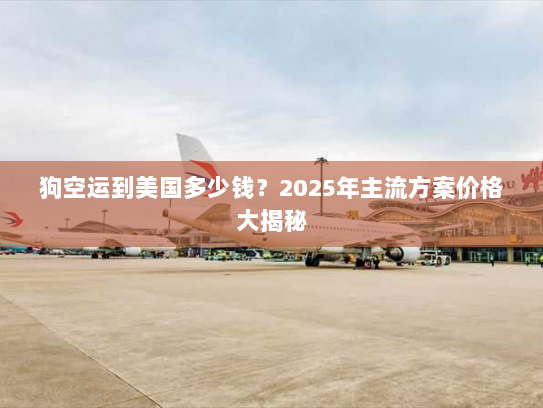狗空运到美国多少钱?2025年主流方案价格大揭秘 狗空运到美国多少钱?2025年主流方案价格大揭秘