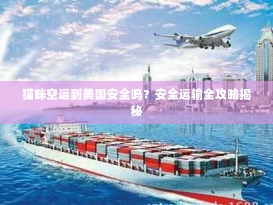 猫咪空运到美国安全吗?安全运输全攻略揭秘 猫咪空运到美国安全吗?安全运输全攻略揭秘
