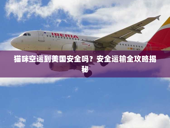 猫咪空运到美国安全吗?安全运输全攻略揭秘 猫咪空运到美国安全吗?安全运输全攻略揭秘