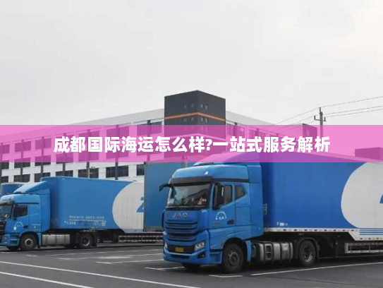 成都国际海运怎么样?一站式服务解析
