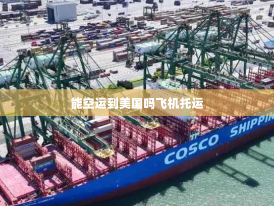 能空运到美国吗飞机托运 能空运到美国吗飞机托运