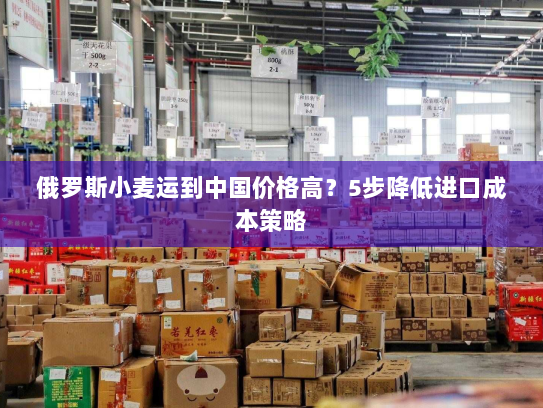 俄罗斯小麦运到中国价格高?5步降低进口成本策略 俄罗斯小麦运到中国价格高?5步降低进口成本策略