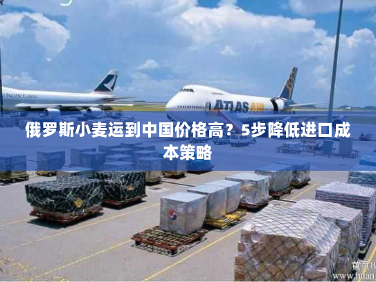 俄罗斯小麦运到中国价格高?5步降低进口成本策略 俄罗斯小麦运到中国价格高?5步降低进口成本策略