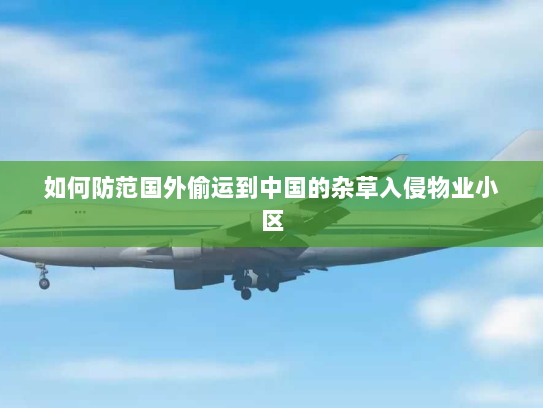 如何防范国外偷运到中国的杂草入侵物业小区 如何防范国外偷运到中国的杂草入侵物业小区