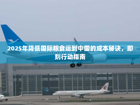 2025年降低国际粮食运到中国的成本秘诀,即刻行动指南 2025年降低国际粮食运到中国的成本秘诀,即刻行动指南