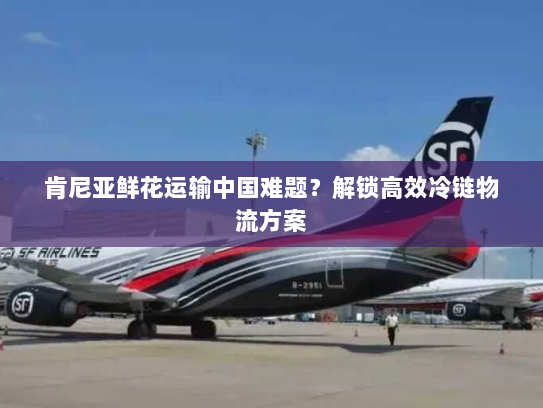 肯尼亚鲜花运输中国难题？解锁高效冷链物流方案