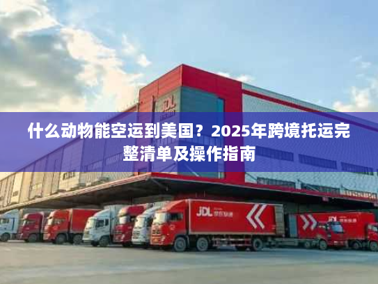 什么动物能空运到美国？2025年跨境托运完整清单及操作指南
