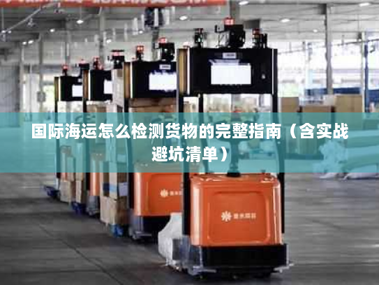 国际海运怎么检测货物的完整指南（含实战避坑清单）