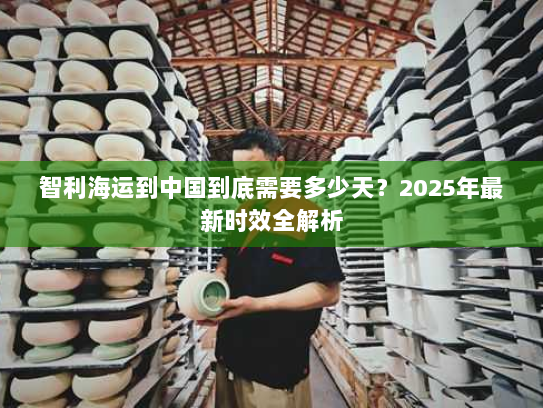 智利海运到中国到底需要多少天？2025年最新时效全解析