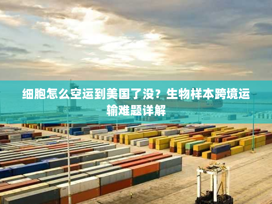 细胞怎么空运到美国了没?生物样本跨境运输难题详解 细胞怎么空运到美国了没?生物样本跨境运输难题详解