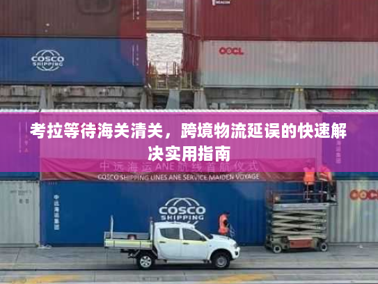 考拉等待海关清关，跨境物流延误的快速解决实用指南