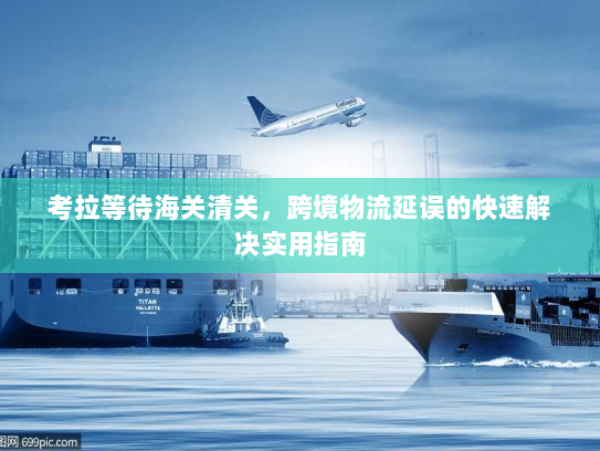 考拉等待海关清关，跨境物流延误的快速解决实用指南