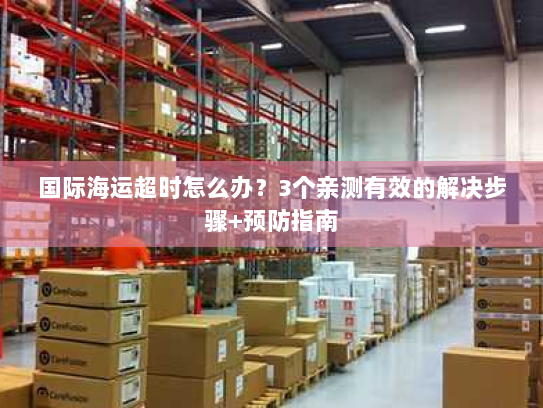 国际海运超时怎么办？3个亲测有效的解决步骤+预防指南