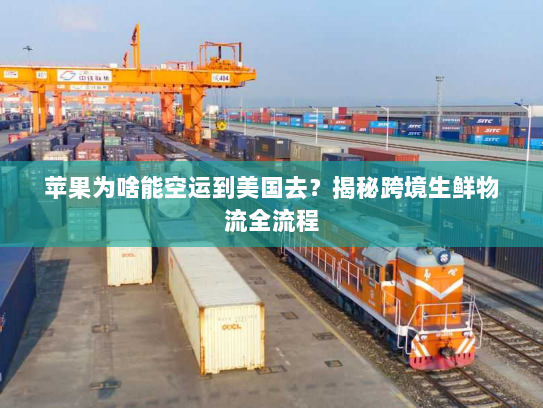 苹果为啥能空运到美国去?揭秘跨境生鲜物流全流程 苹果为啥能空运到美国去?揭秘跨境生鲜物流全流程