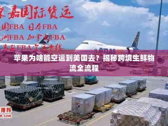 苹果为啥能空运到美国去?揭秘跨境生鲜物流全流程 苹果为啥能空运到美国去?揭秘跨境生鲜物流全流程