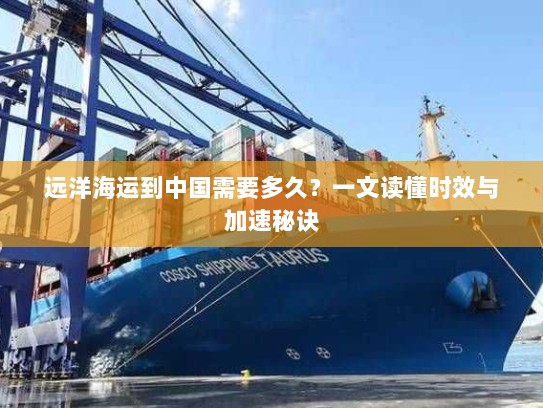 远洋海运到中国需要多久?一文读懂时效与加速秘诀 远洋海运到中国需要多久?一文读懂时效与加速秘诀