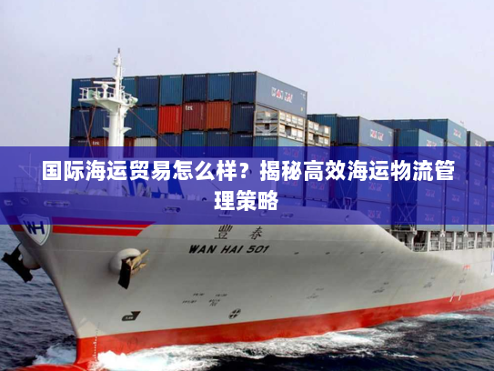 国际海运贸易怎么样？揭秘高效海运物流管理策略