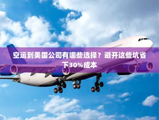 空运到美国公司有哪些选择？避开这些坑省下30%成本