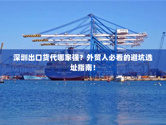深圳出口货代哪家强?外贸人必看的避坑选址指南! 深圳出口货代哪家强?外贸人必看的避坑选址指南!